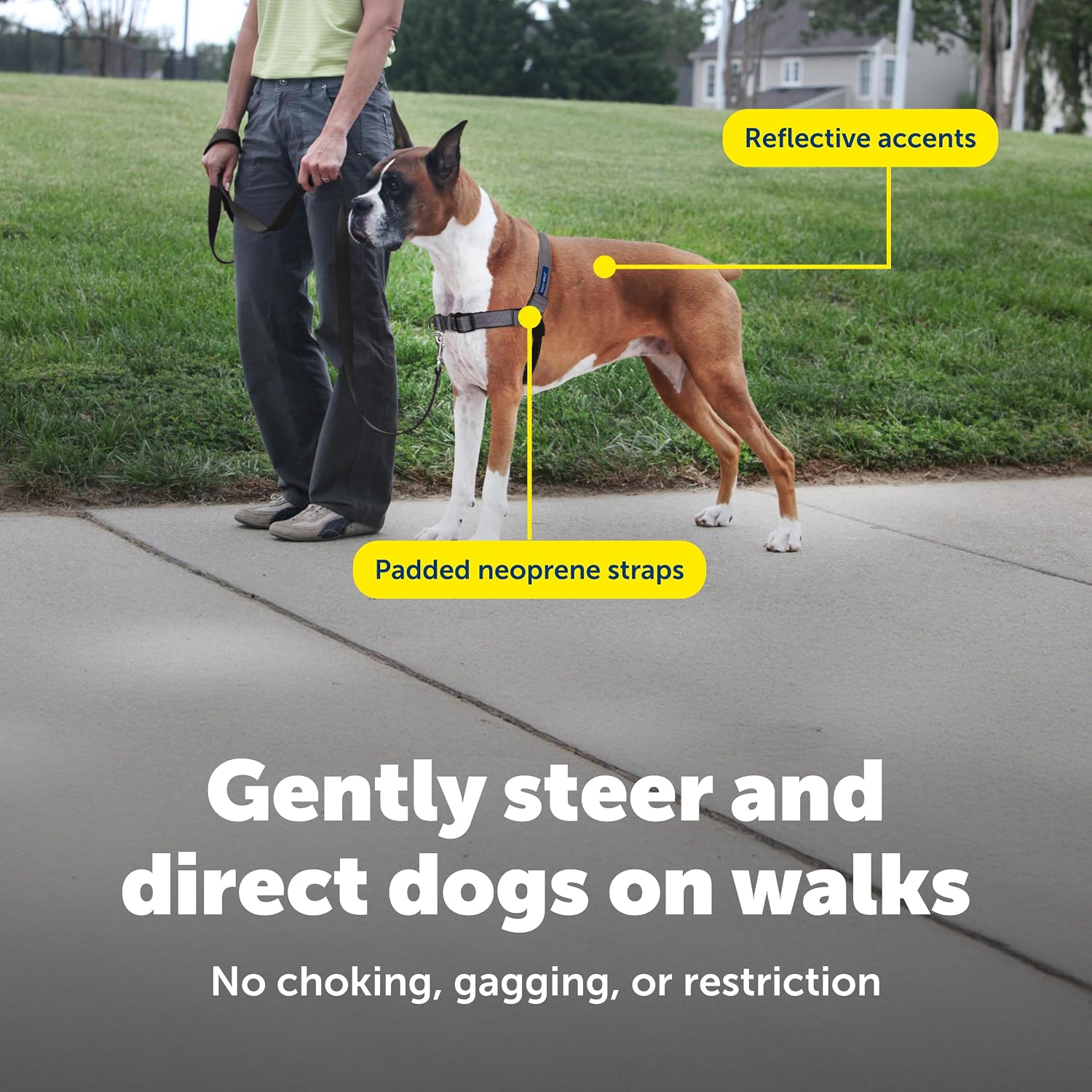 Detalle de PetSafe デラックス イージーウォークハーネス M 犬用 引っ張り防止・反射ステッチ付き