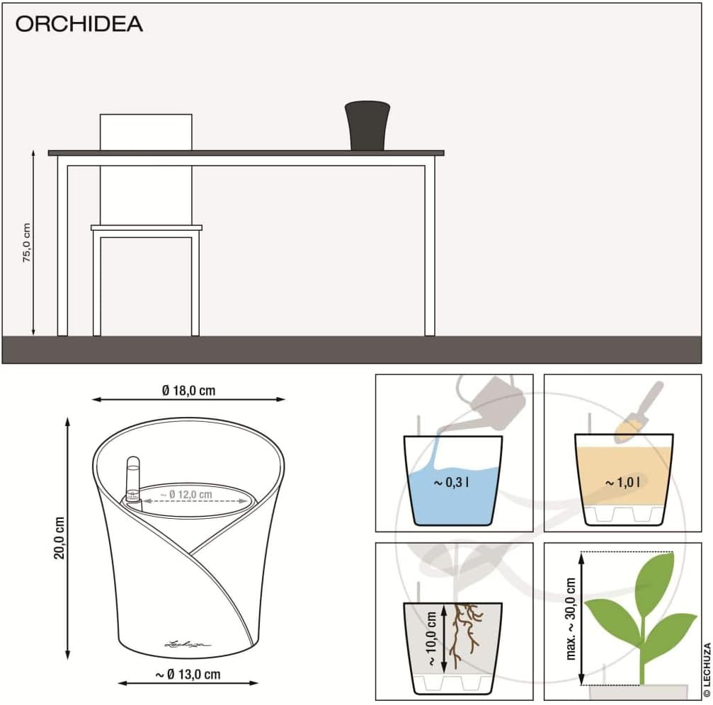 Thumbnail 3 de LECHUZA Orchidea schiefergrau matt 13961 – Bewässerungssystem, Orchidee inklusive