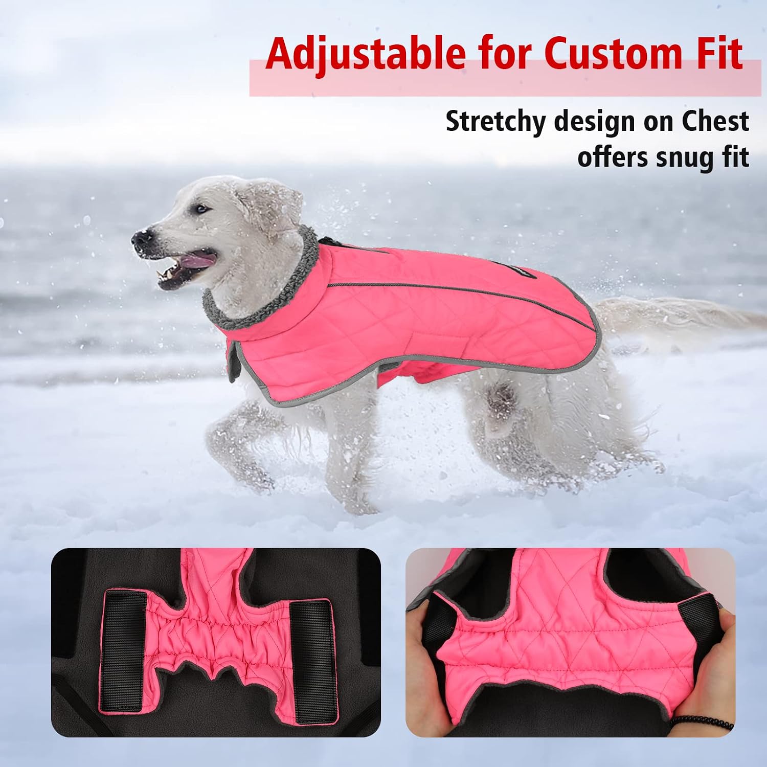 Detalle de Fragralley Dog Coat, 3XL
