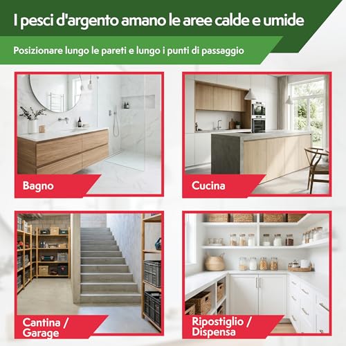 Detalle de Pattler Trappola Pesciolini d'Argento con Finestre di Controllo – 12 Pezzi