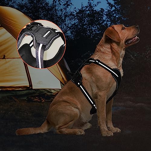 Thumbnail 8 de Amazon Basics Arnés perro sin tirones pequeño