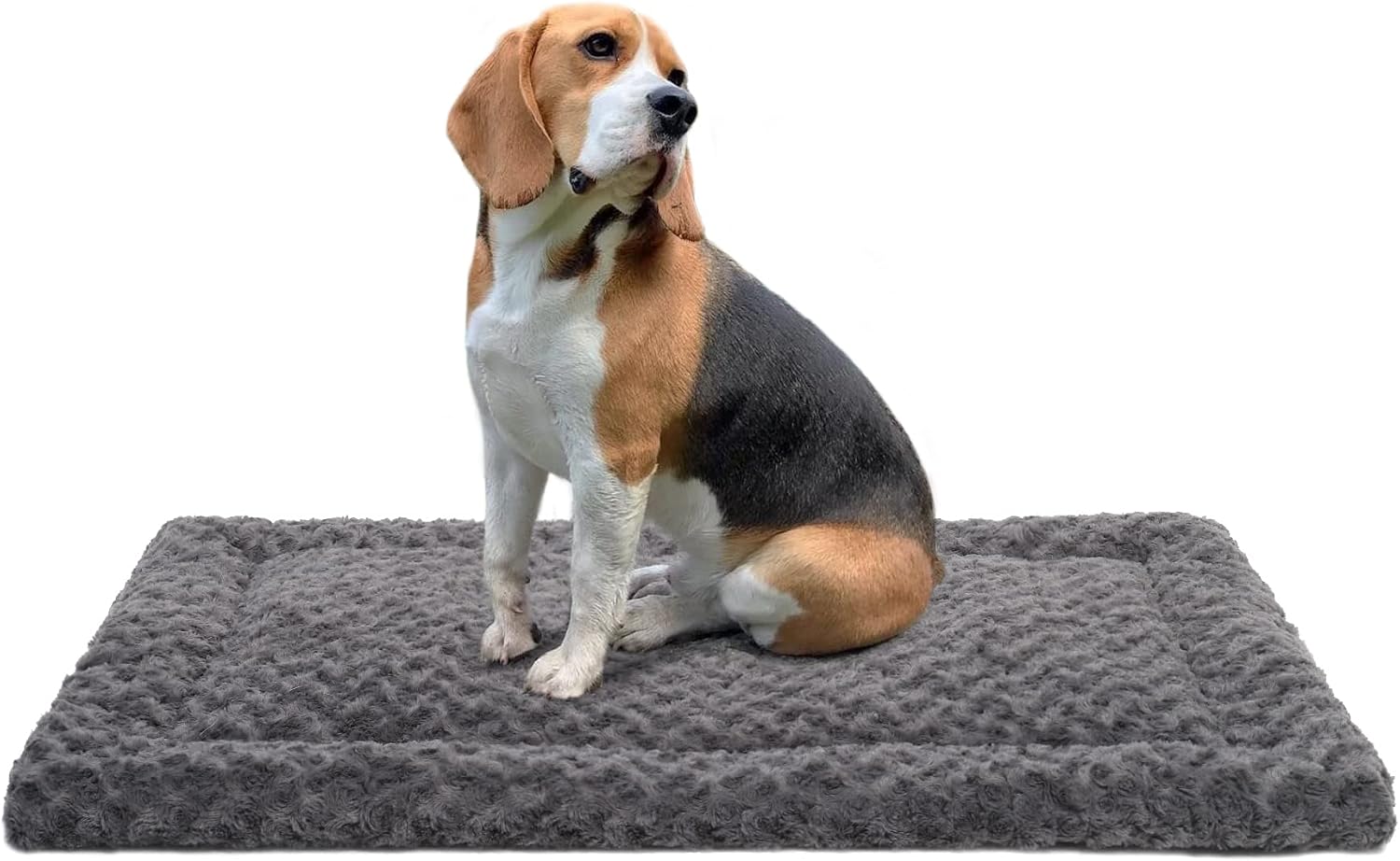 Detalle de Exsnugy Dog Bed Mat 36 x 23