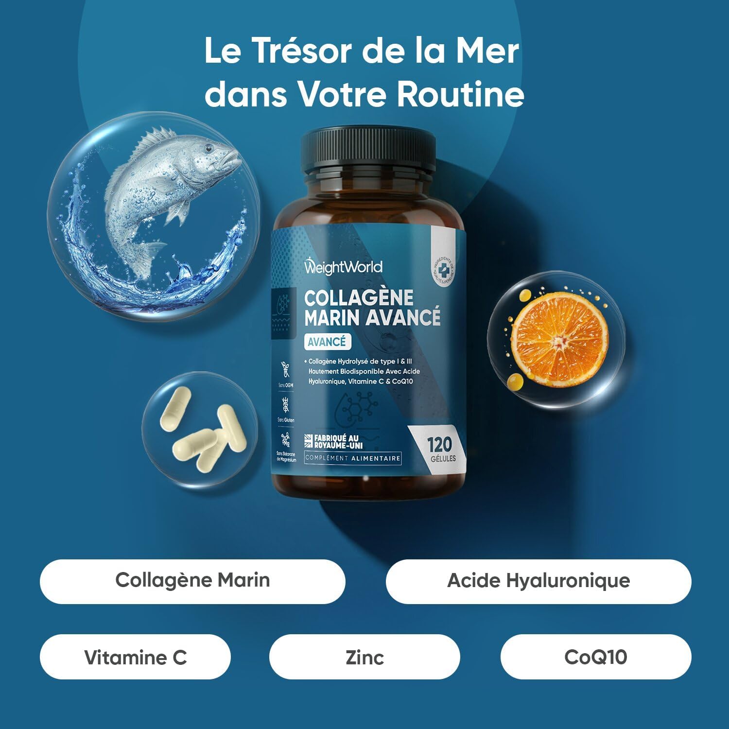 Thumbnail 1 de Collagène Marin Acide Hyaluronique – 120 gélules peptides de collagène Type 1 & 3 + vitamine C, zinc, Coenzyme Q10
