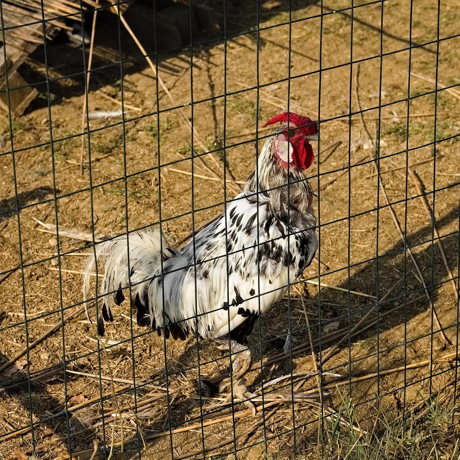 Thumbnail 6 de ARIFARO 1.42m x 15.2m Wire Mesh Fencing in PVC Coating