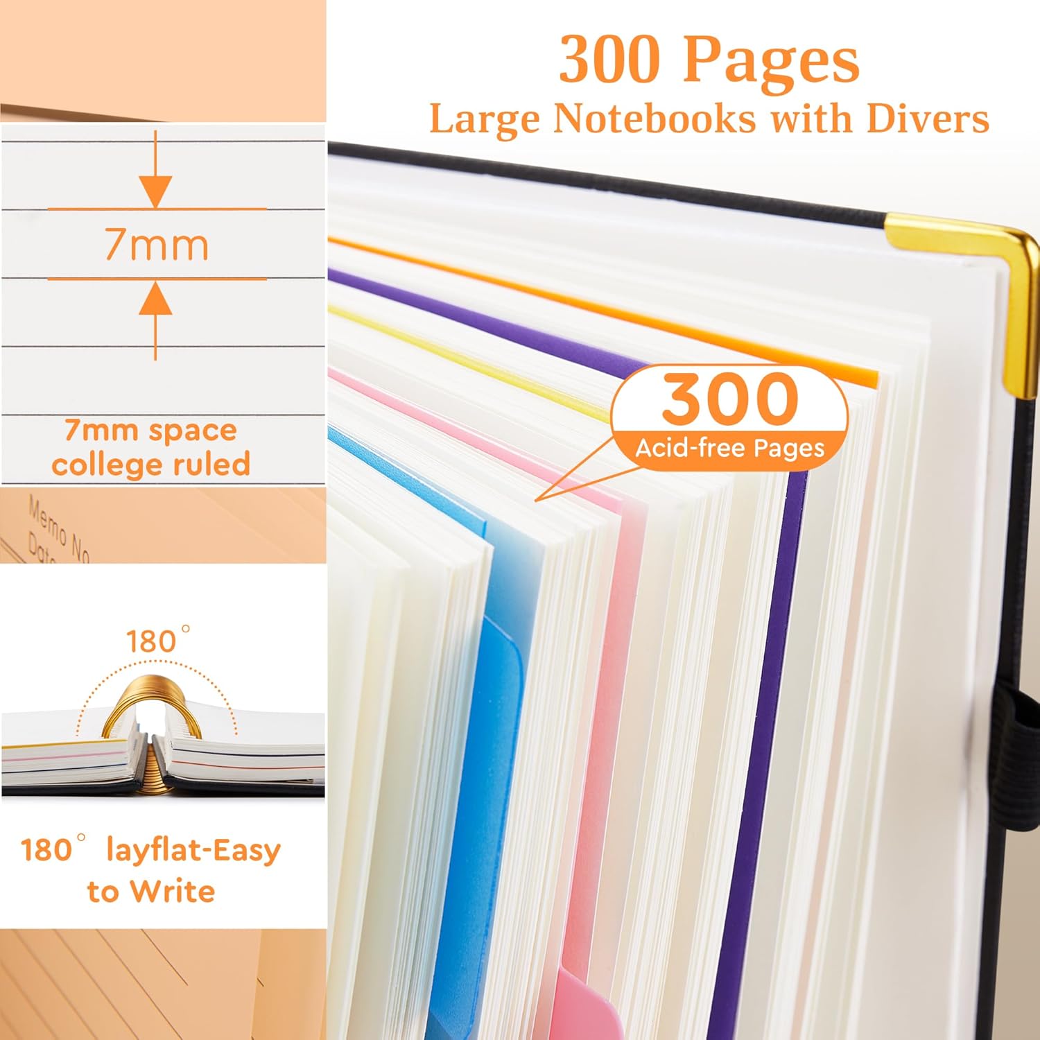 Thumbnail 4 de FREBLASO 5-Subject notebook 8x10 B5