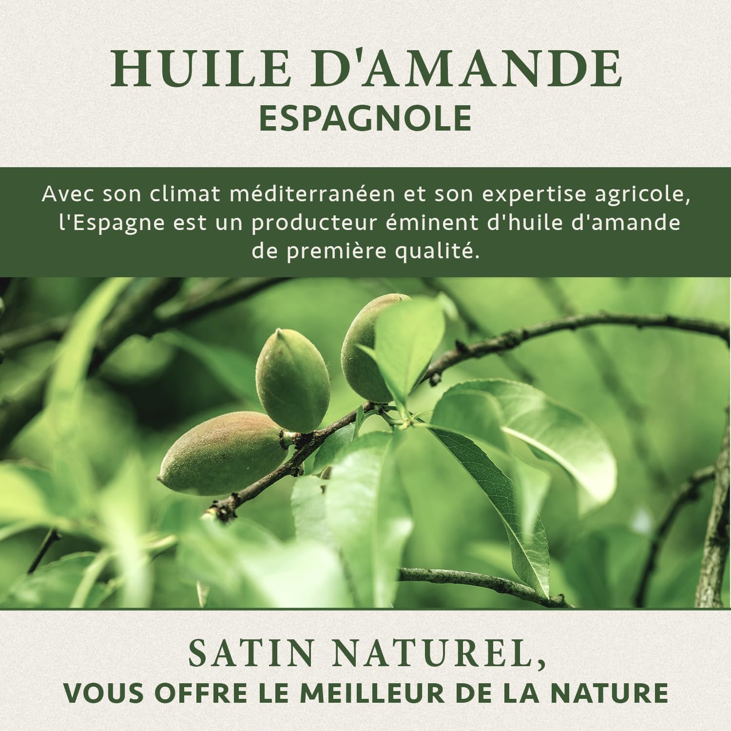 Detalle de Huile d’amande douce Bio 100 ml – Huile hydratante naturelle pour le corps, les cheveux et le massage