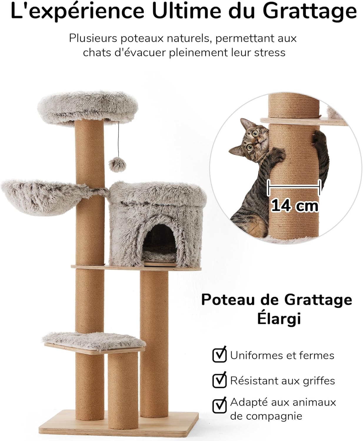 Thumbnail 4 de FUKUMARU Arbre à Chat 155 cm : tour d’intérieur multi-niveaux avec 6 griffoirs et hamac