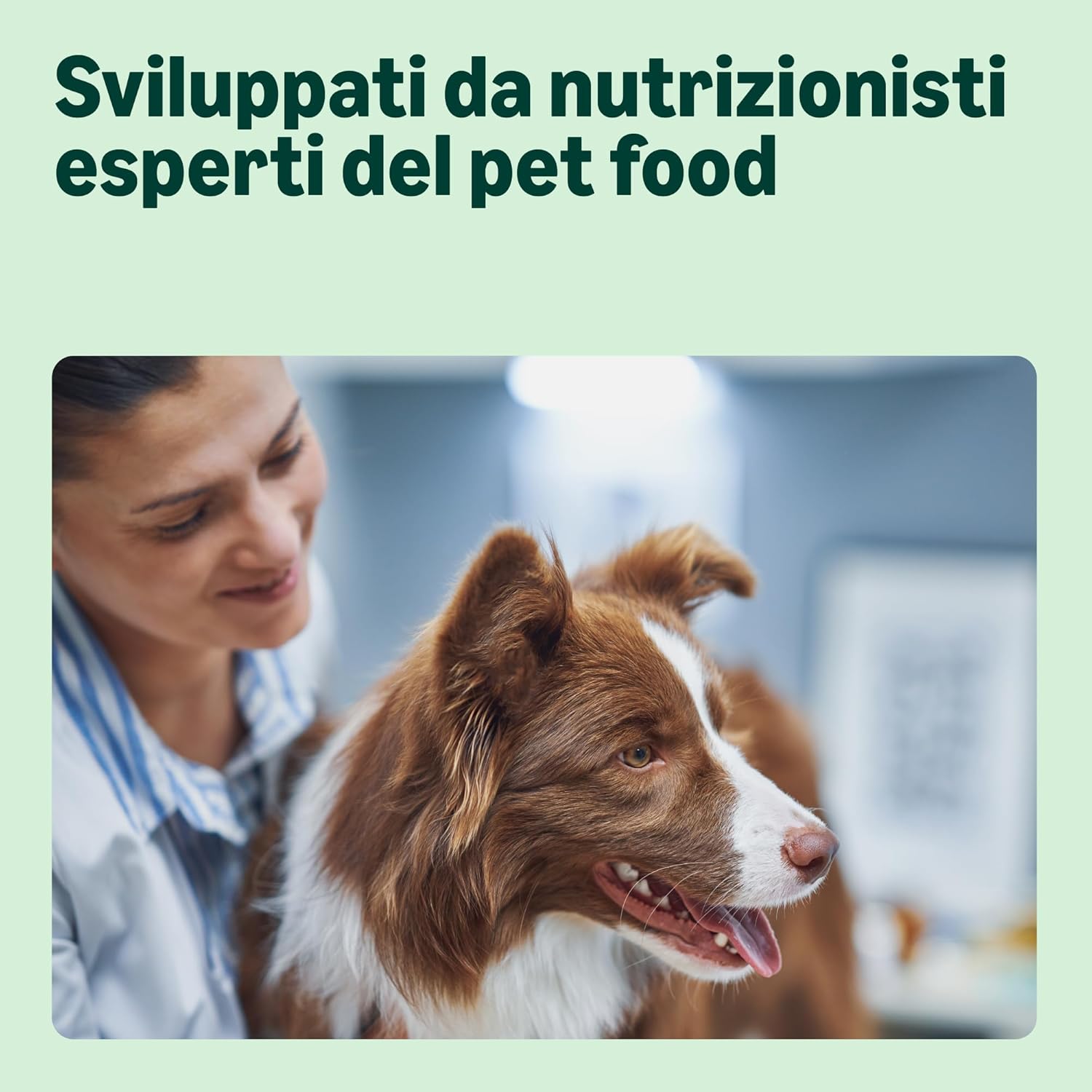 Detalle de By Amazon Complete Dry Dog Food with Salmon and Rice per Cani di Taglia Media e Grande – 5 kg