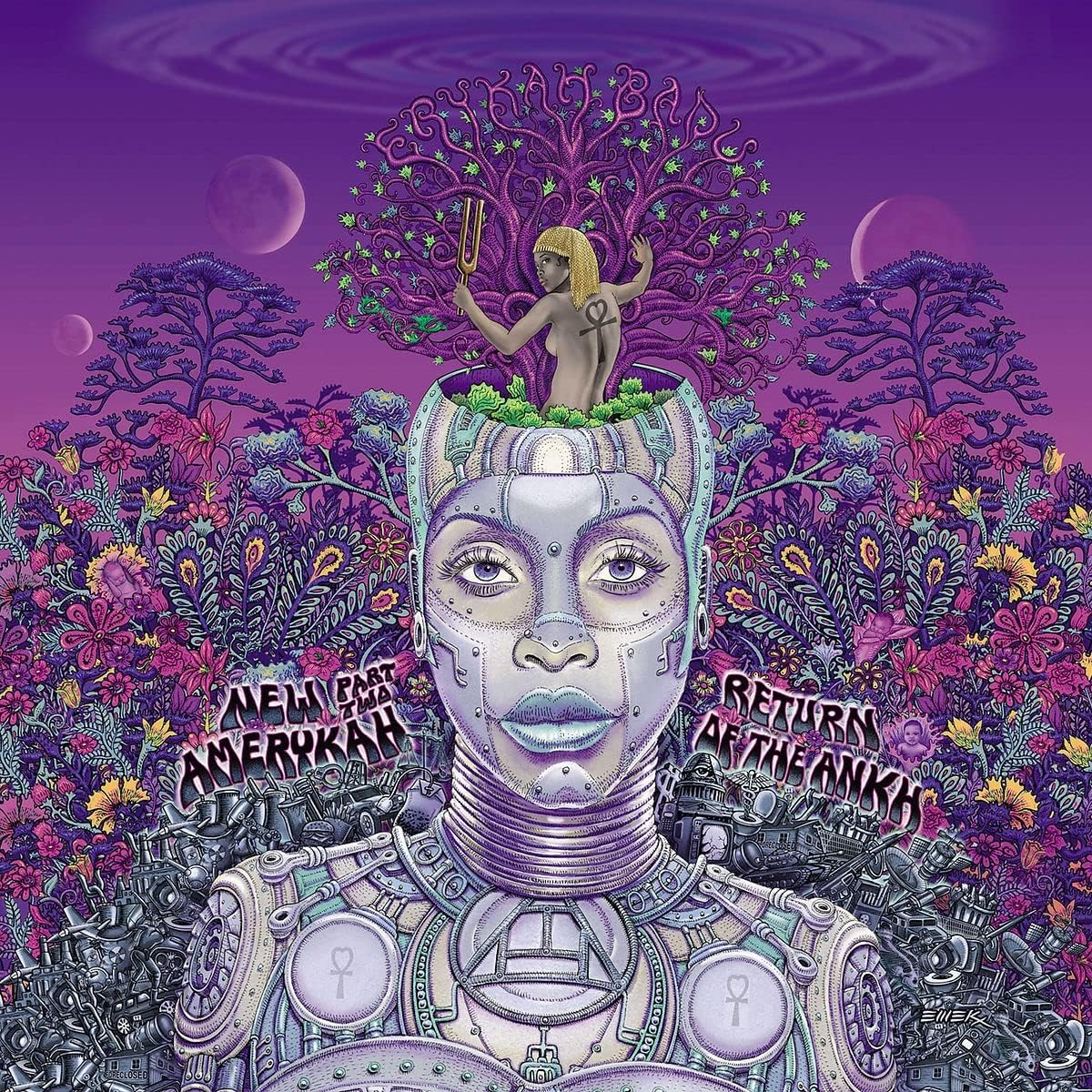Detalle de New Amerykah Part Two 音楽作品|寸法31.3 x 31.2 x 0.6 cm、重量217.72 g