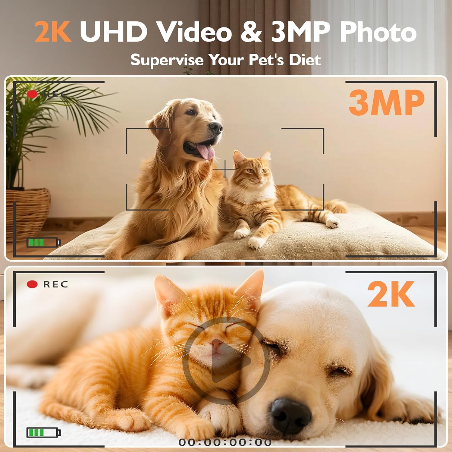 Detalle 2 de PETLIV Automatic Cat Feeder 5L with 2K Camera