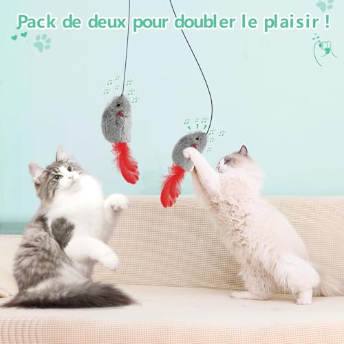 Detalle de FYNIGO - Pack de 2 Souris Suspendues Interactives pour Chat, Sans Piles, Corde Élastique et Plumage