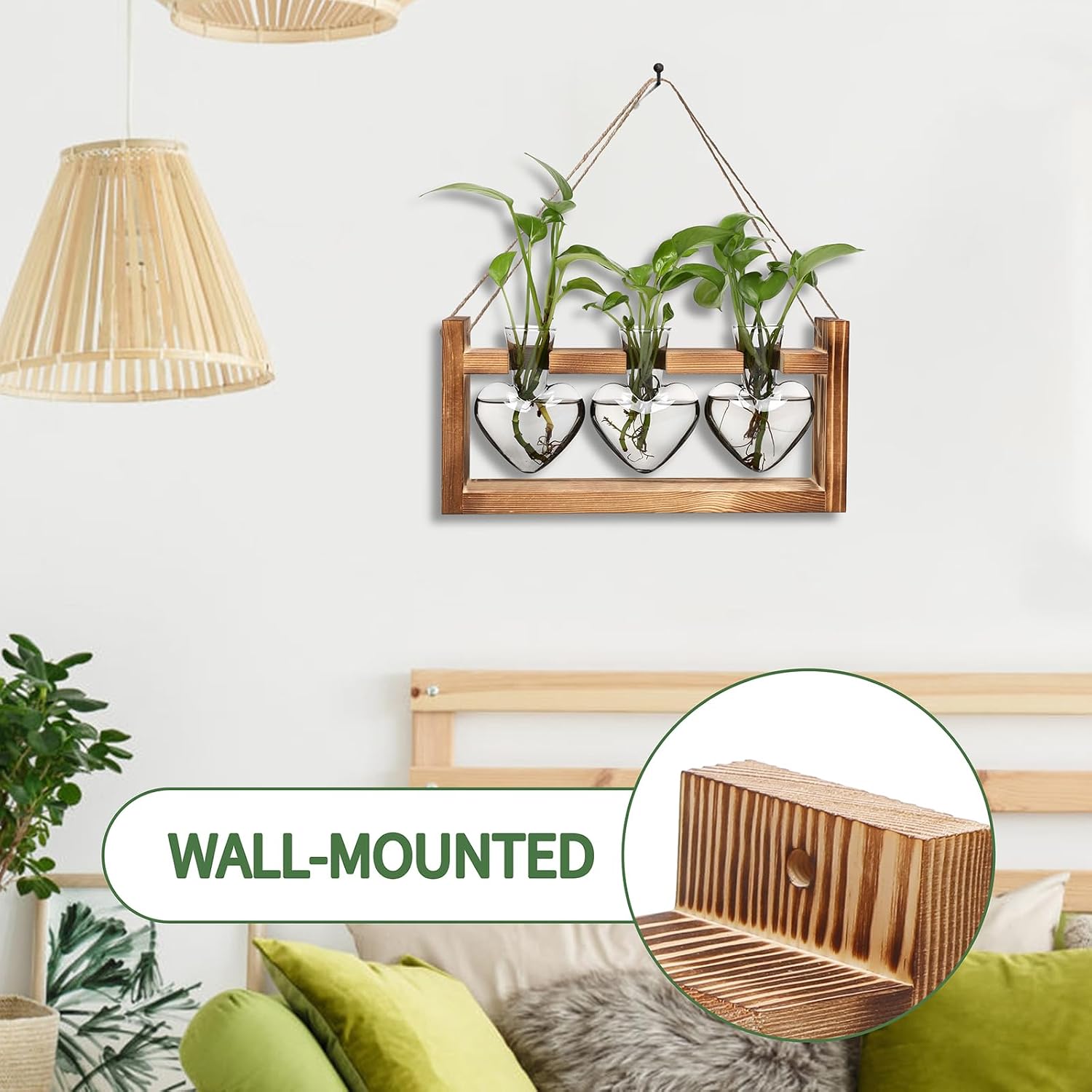 Detalle de Glass Plant Propagation Vases