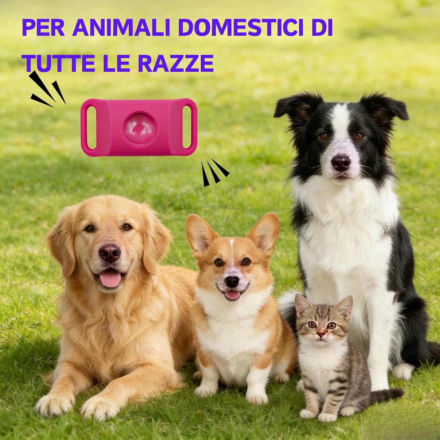 Detalle de Aquality Pets Collare Antiparassitario Naturale: protezione duratura per cani e gatti