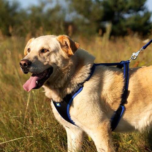 Detalle 2 de Ferplast Arnés ERGOCOMFORT Large para perros ajustable