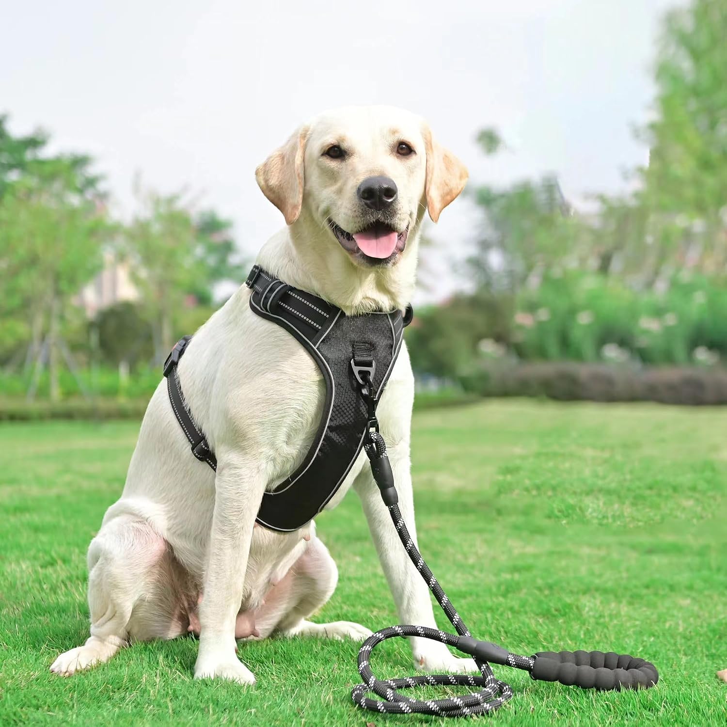 Detalle 2 de haapaw No Pull Dog Harness with Reflective Oxford Fabric, Adjustable Easy Control Medium Large + Free Heavy Duty Lead