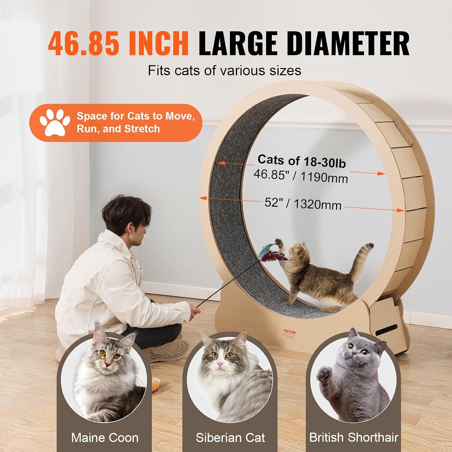 Detalle 2 de Roue d’exercice chat 1320 mm VEVOR