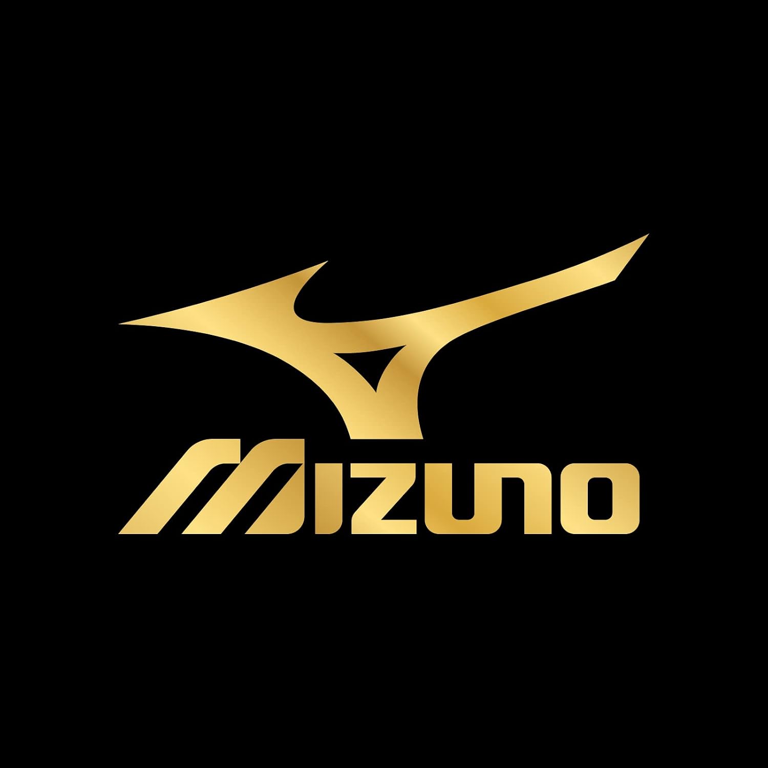 Detalle de MIZUNO 489-276 メンズ5本指ソックス 10cm丈・補強つま先とかかと・3足組