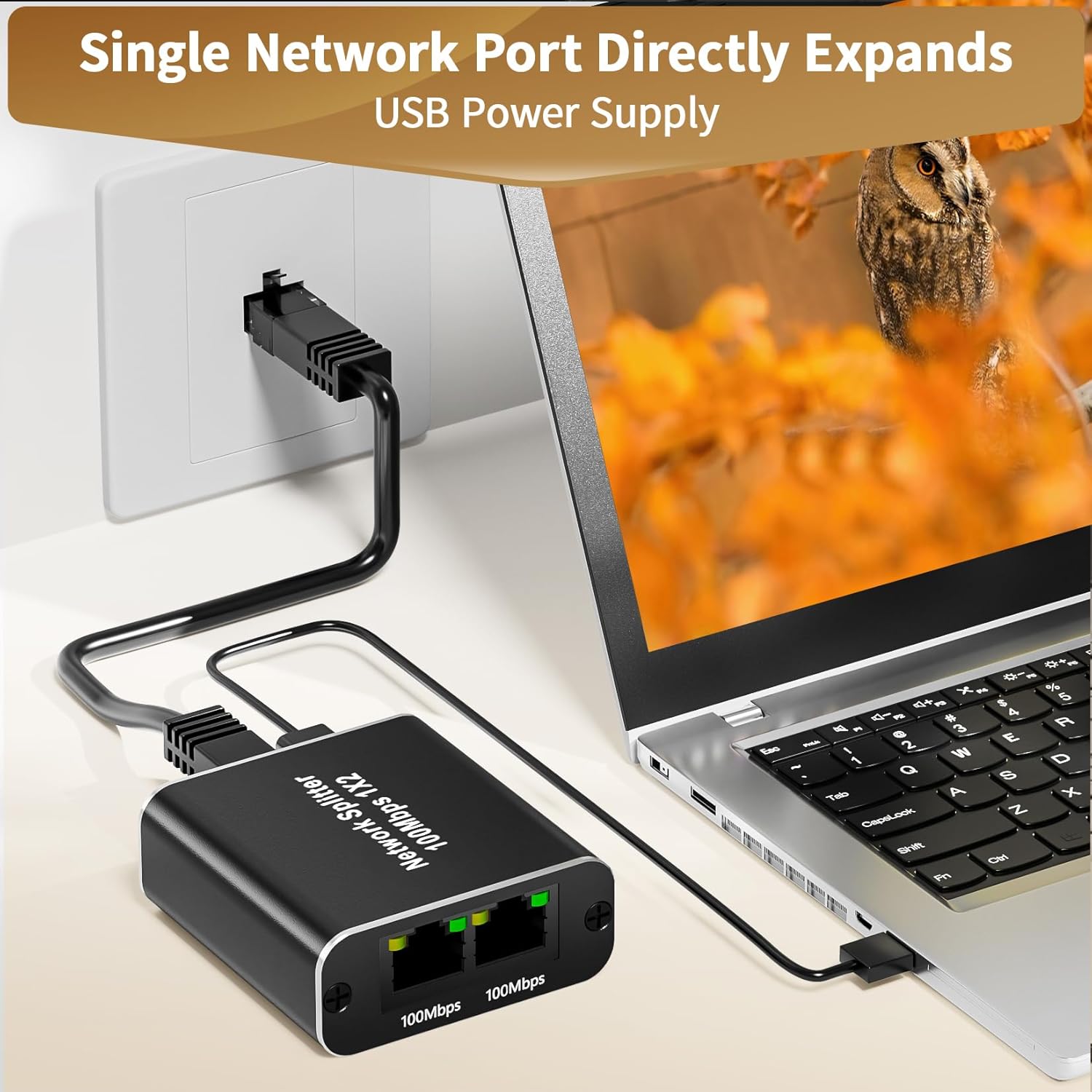 Thumbnail 5 de BolAAzuL Ethernet Splitter 1 to 2 (100Mbps) RJ45 – 1 in, 2 out LAN/Internet adapter for two devices
