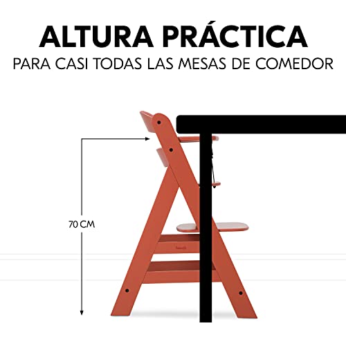 Thumbnail 7 de hauck Alpha Plus Trona evolutiva madera de haya 90 kg