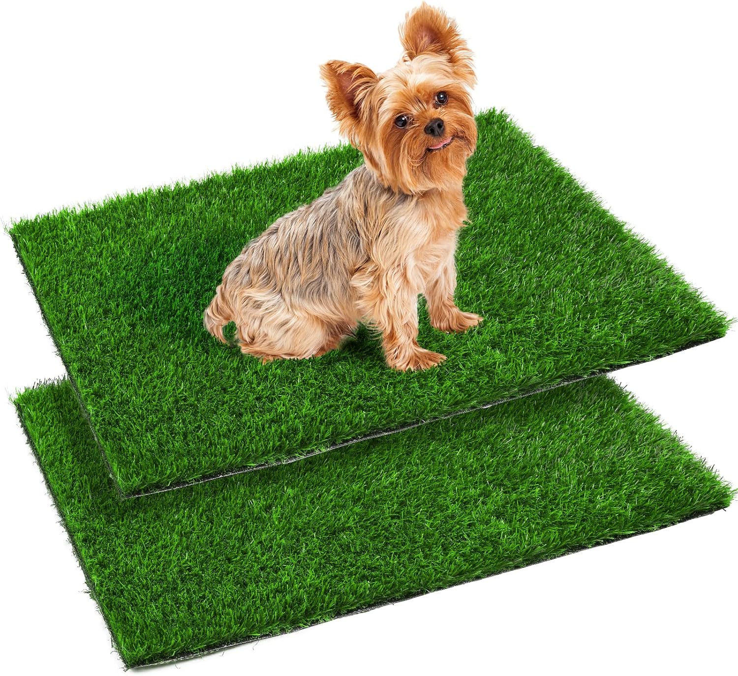Detalle de PICK FOR LIFE Hundeklo Welpen Training 2 Stück