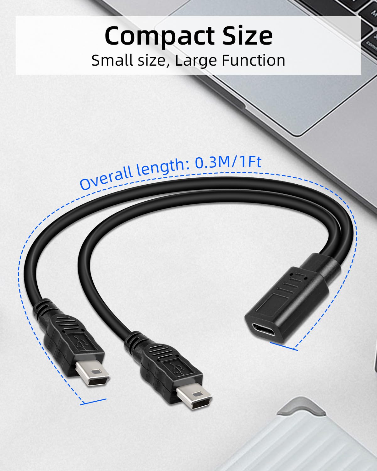 Detalle de RIIEYOCA Short USB C Female to Dual Mini USB Male Charging Cable (1FT, 2-Pack) – Charging Only