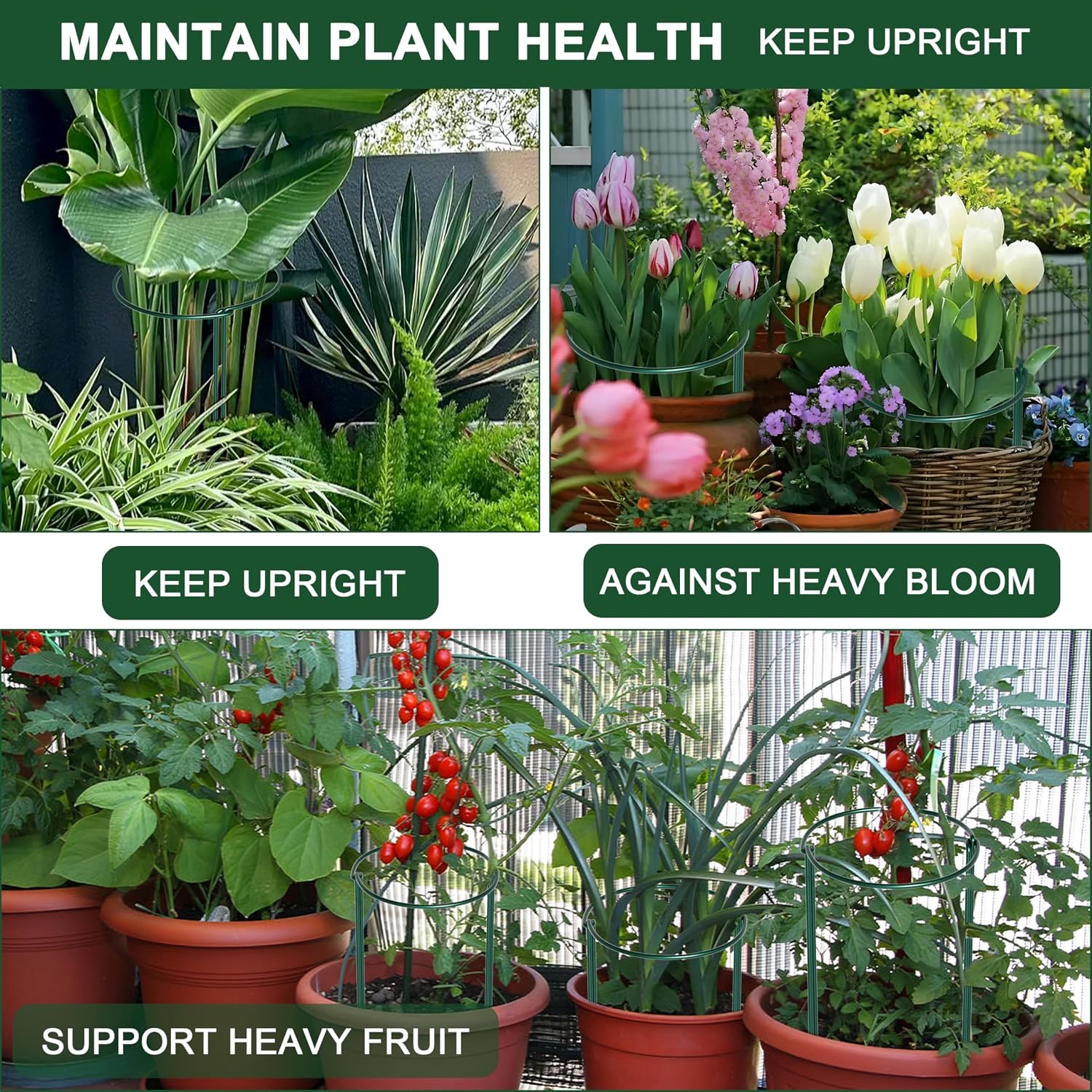 Thumbnail 6 de 10pcs 25x60cm Plant Supports: Thicker 4mm Garden Stakes for Tall Perennials (Green, Weatherproof)