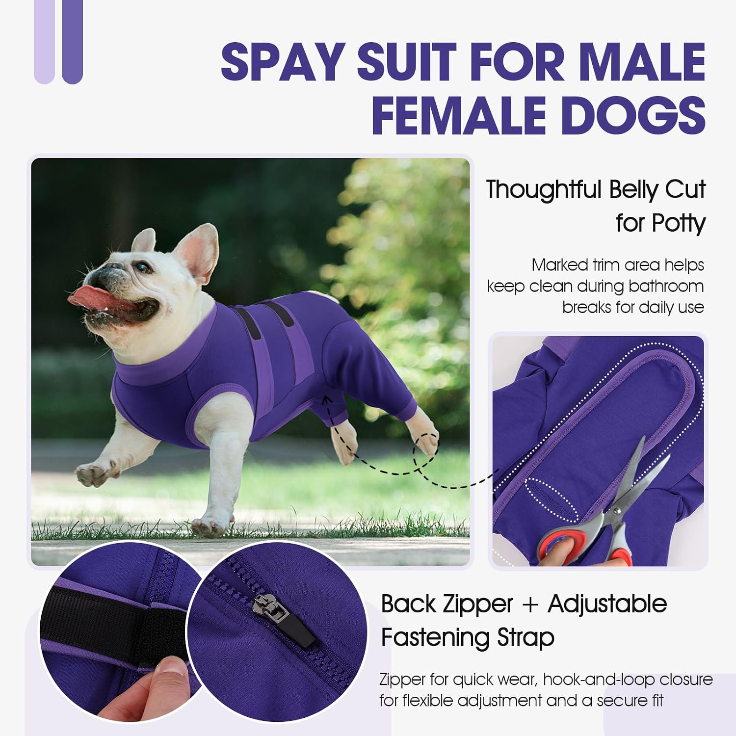 Detalle 2 de QBLEEV Dog Recovery Suit for Rear Legs