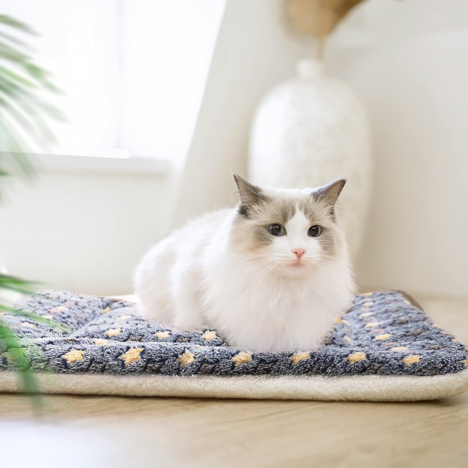Detalle de Mora Pets Cat Bed for Indoor Cats – Washable Flat Kitten Bed 45x37 cm (Blue)
