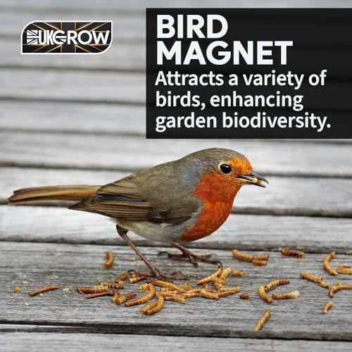 Thumbnail 7 de UKGROW 10L Premium value Dried Mealworms for birds (10L) by Invigortex
