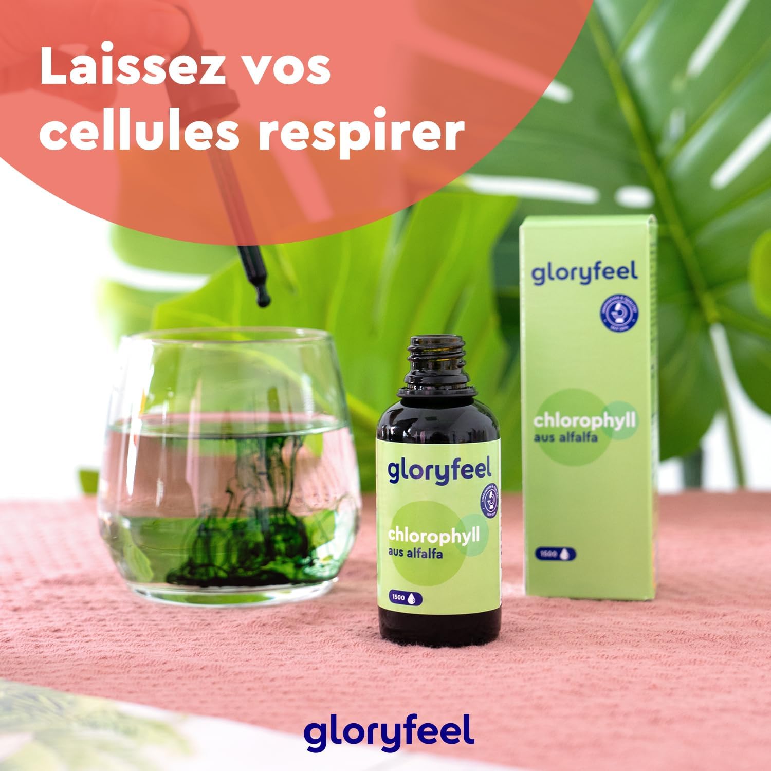 Thumbnail 6 de Chlorophylle Liquide de Luzerne 50 ml (1500 gouttes) – 200 mg par dose, vegan et sans alcool