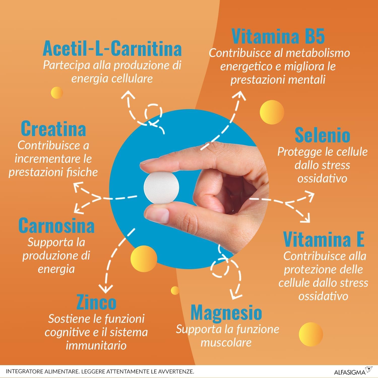 Detalle 2 de Carnidyn Plus: integratore per energia e concentrazione, 36 compresse masticabili agrumi