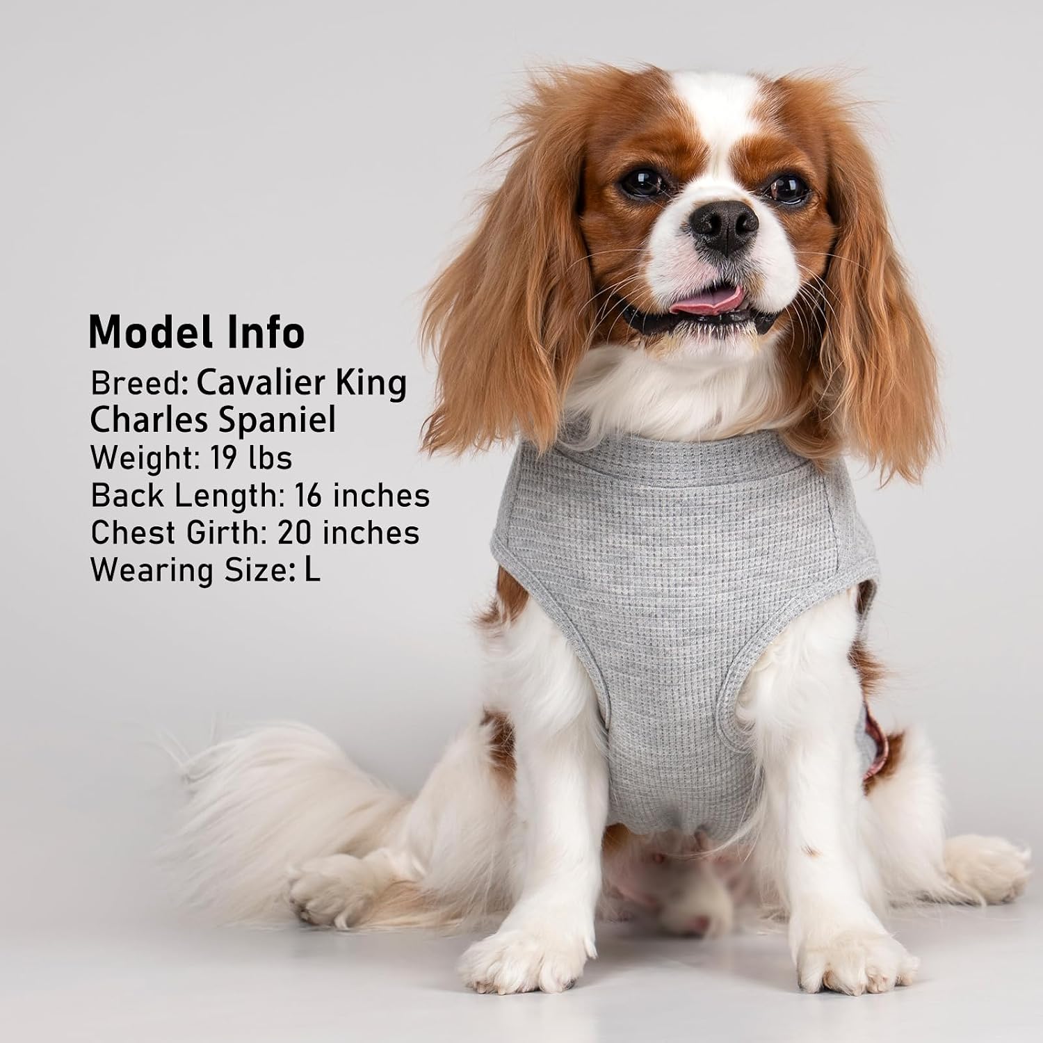 Detalle 2 de KYEESE Dog Shirt, Medium