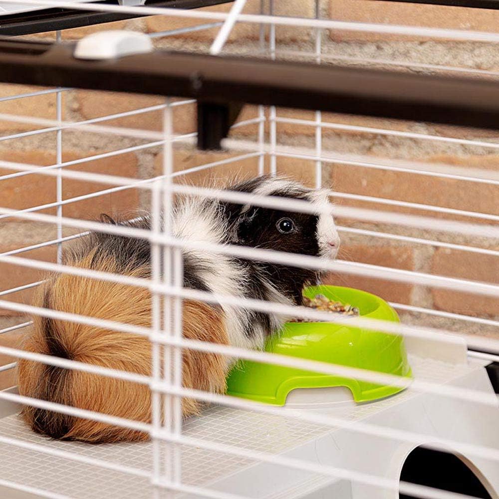 Thumbnail 4 de FERPLAST CASITA 80 78x48x50 cm cage 🐹