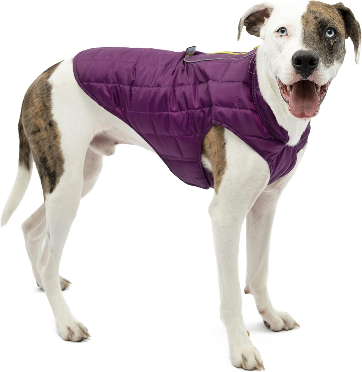Detalle de Kurgo Loft Hundejacke – Wasserdicht, reflektierend und mit Hundegeschirr kombinierbar (Größe XL, Grau/Lila)