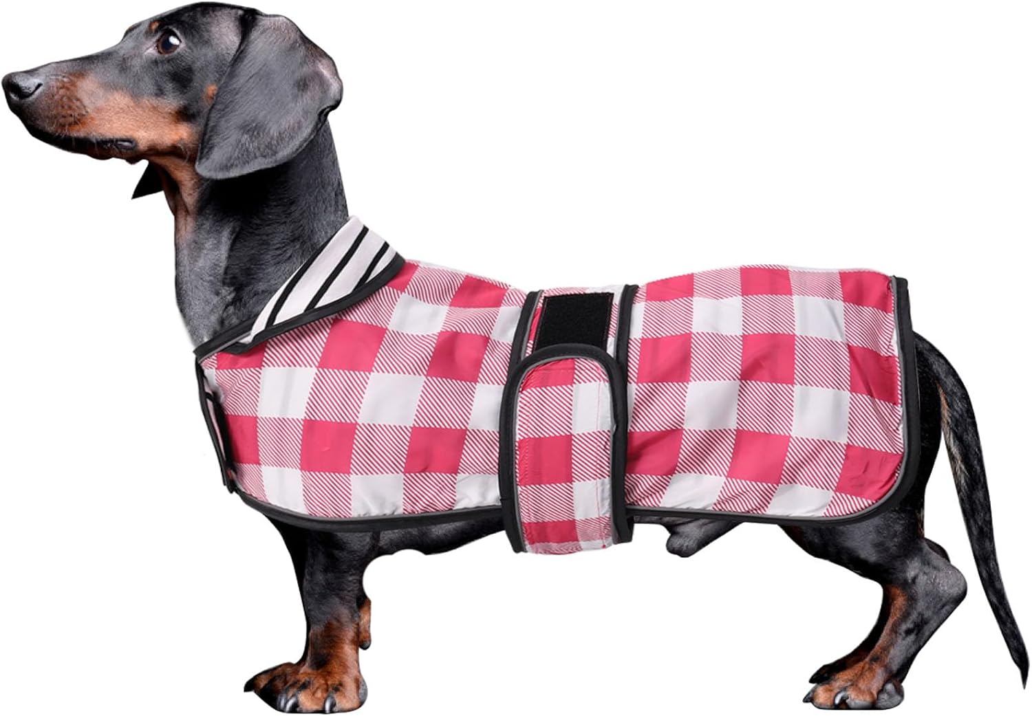 Thumbnail 6 de Morezi Dachshund coat for miniature dachshunds – pink waterproof rain coat with reflective stripe (XSmall)