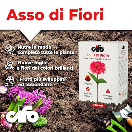 Detalle de CIFO Asso di Fiori - Concime in Polvere per Piante Verdi, Fiorite e Orto (1 kg)