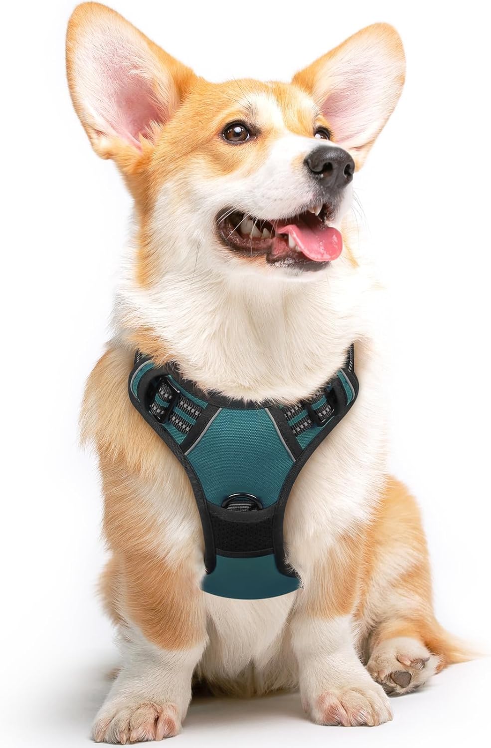 Detalle de Eagloo Dog Harness Medium (Dark Green, Size M) – No Pull with Front & Back Clips and Control Handle