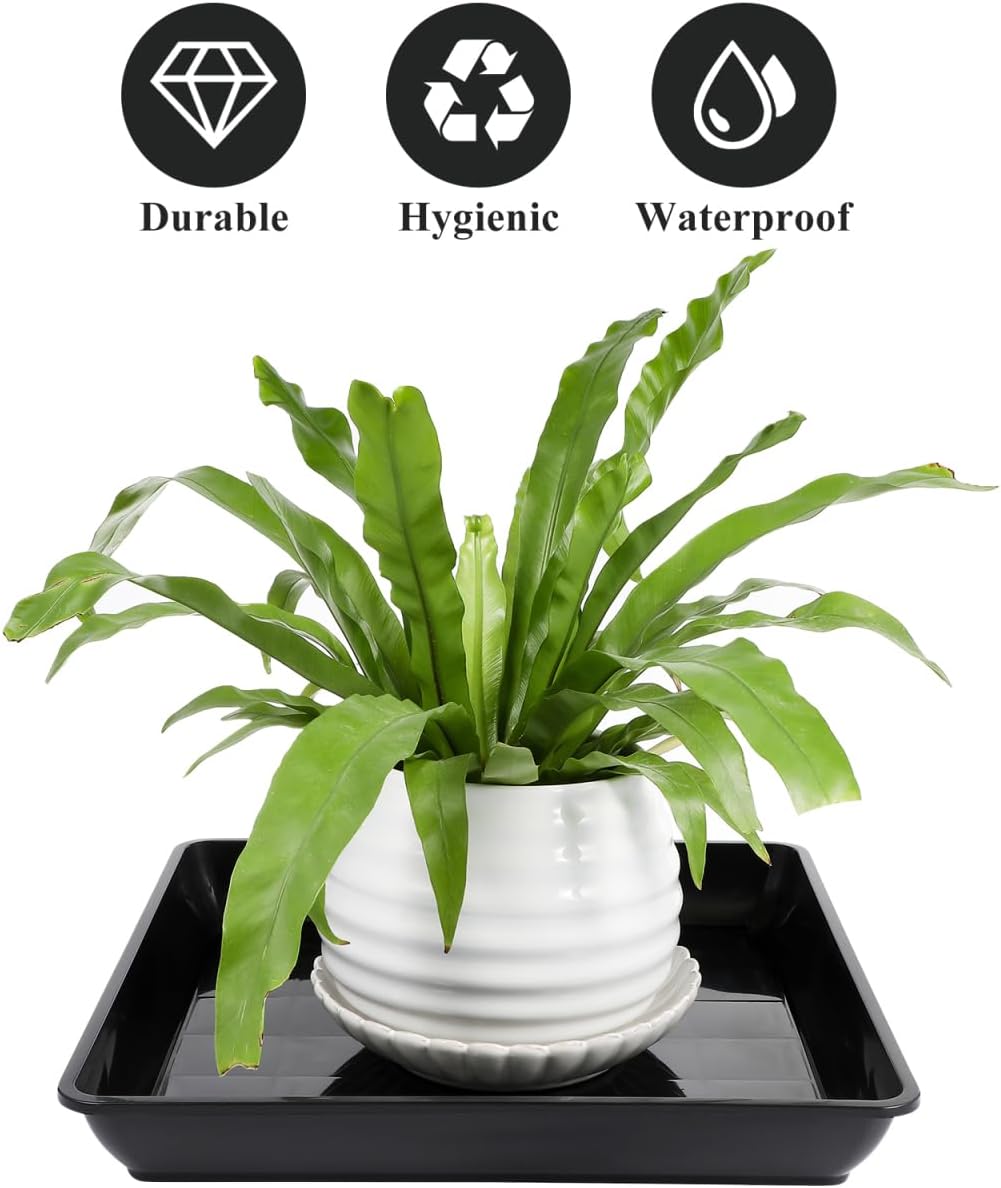 Thumbnail 4 de Milisten Square Plant Saucer 35cm