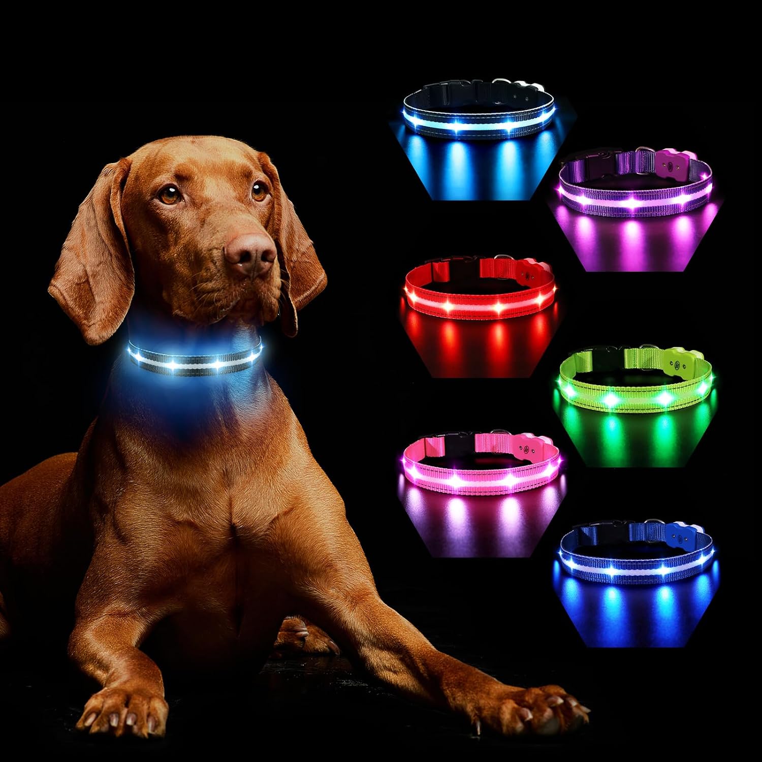 Detalle de MASBRILL Light Up LED Dog Collar S 7 Colours