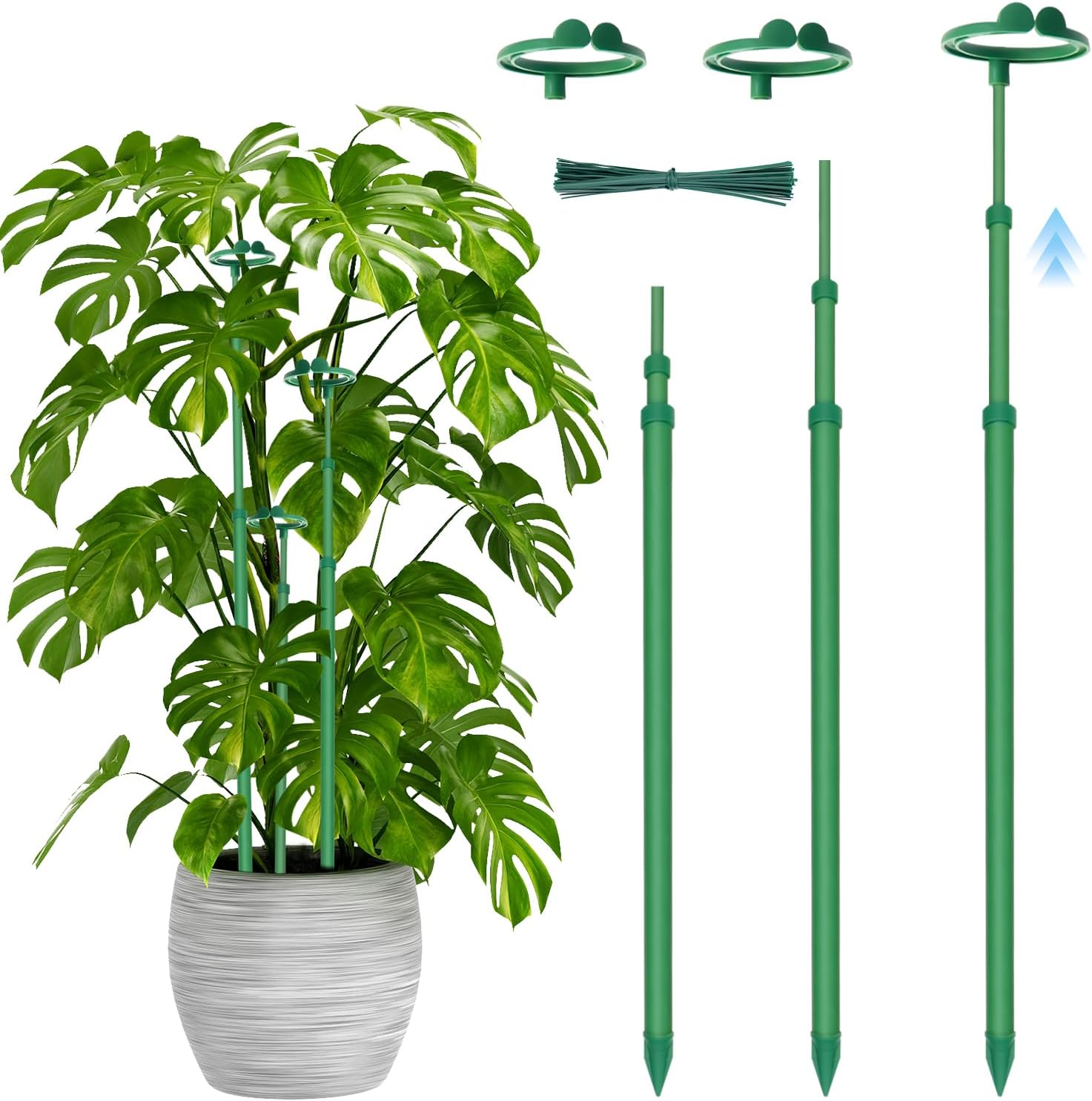 Detalle de Stroller garden-stakes Telescoping Plant Stakes, Adjustable Fiberglass Support