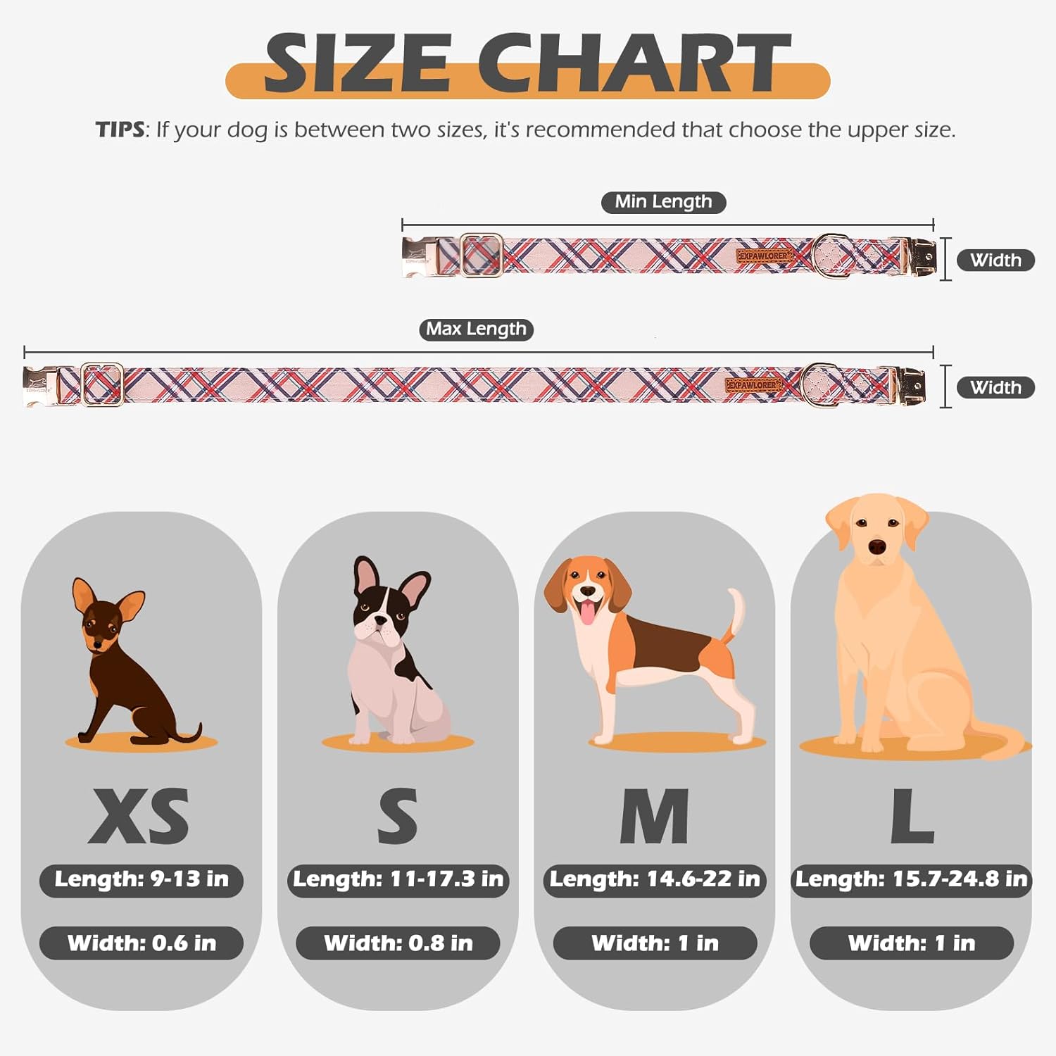 Thumbnail 3 de EXPAWLORER Cute Dog Collar (Plaid M) with Removable Bow Tie and Quick Release Metal Buckle