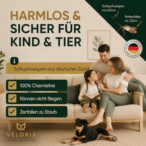 Thumbnail 6 de VELORIA Schlupfwespen gegen Kleidermotten mit 4 Karten