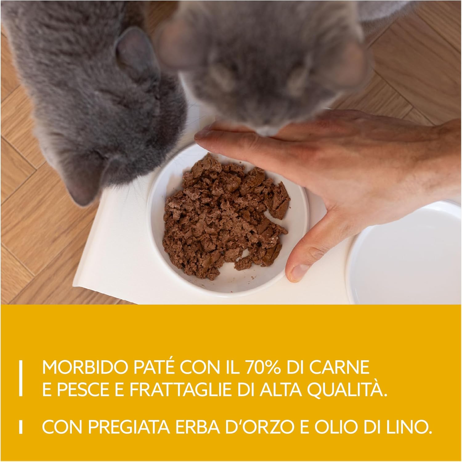 Detalle 2 de GimCat Near Nature Probier-Mix 12: cibo umido senza cereali per gatti dai 7 mesi, 12 bustine da 85 g
