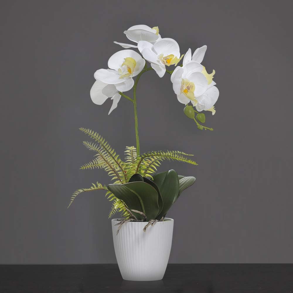 Thumbnail 6 de Olrla IU-2 kunstorchidee Phalaenopsis, 41 cm, witte bloemen en onderhoudsarm