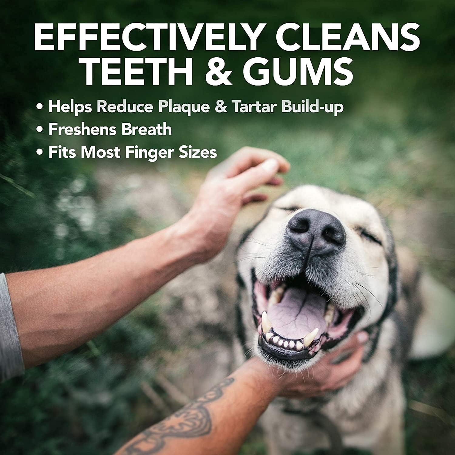 Detalle de Vet's Best Tampons de nettoyage des dents pour chiens, meute de 50 🦷