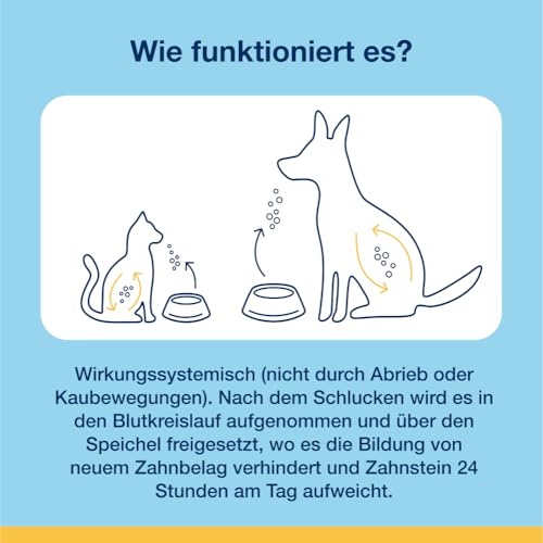 Thumbnail 7 de ProDen PlaqueOff Zahnpulver für Hunde & Katzen 60 g – Natürliche Zahnpflege mit Meeresalgen