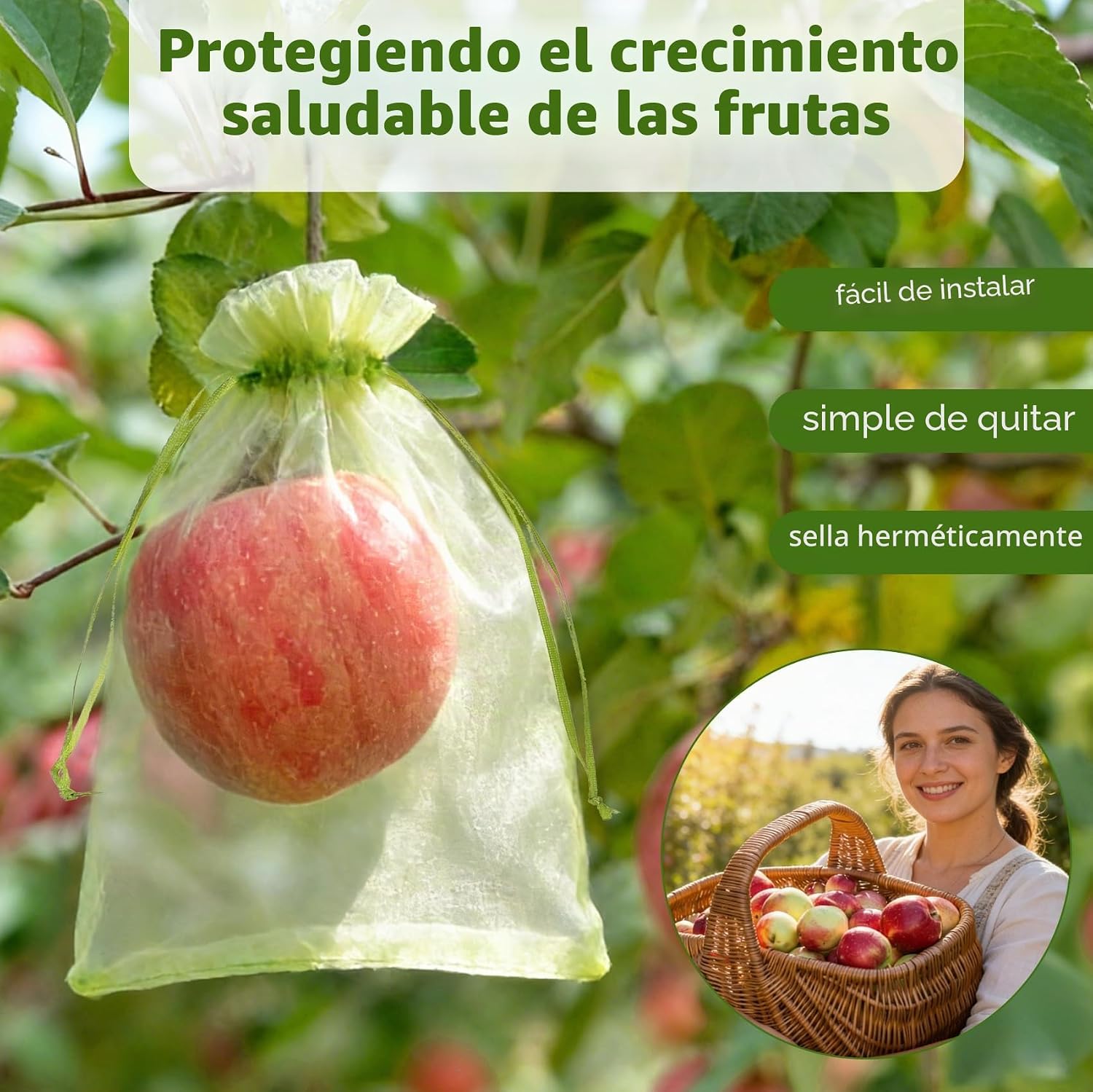 Thumbnail 6 de 60 Piezas de Bolsas para Uvas en Parra con Cordón de Vegamall (Organza 20x30 cm) + 5 Placas Adhesivas Antiinsectos