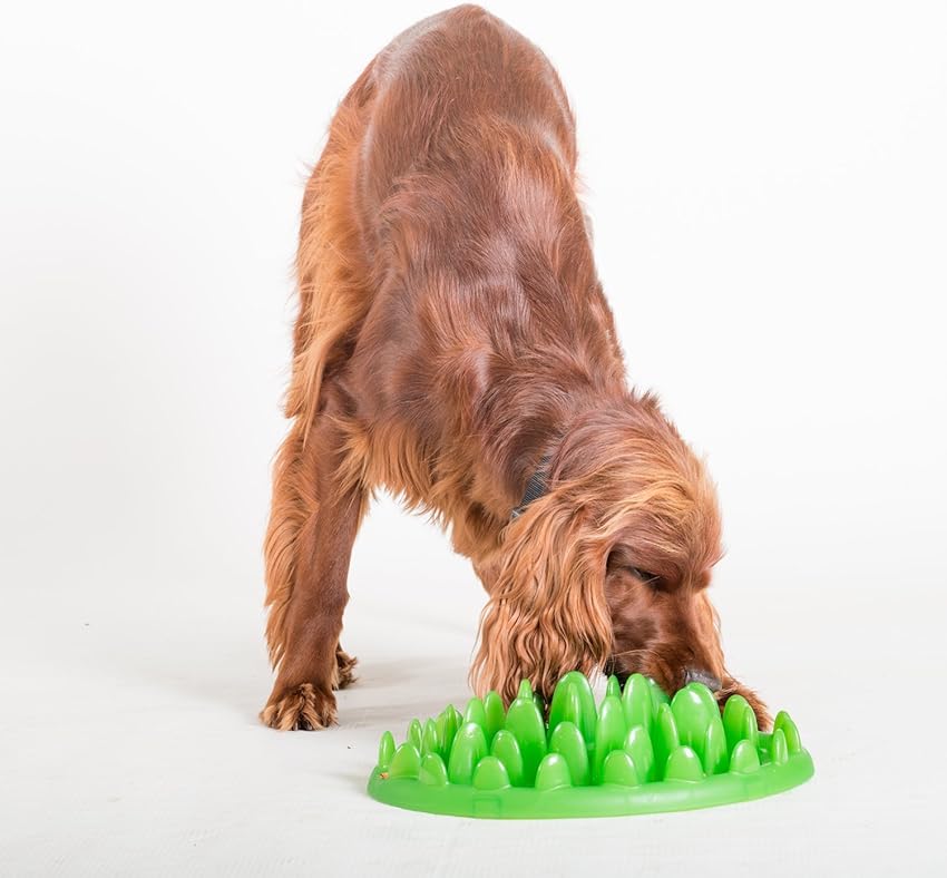 Thumbnail 4 de GREEN Comedero Interactivo L para perros