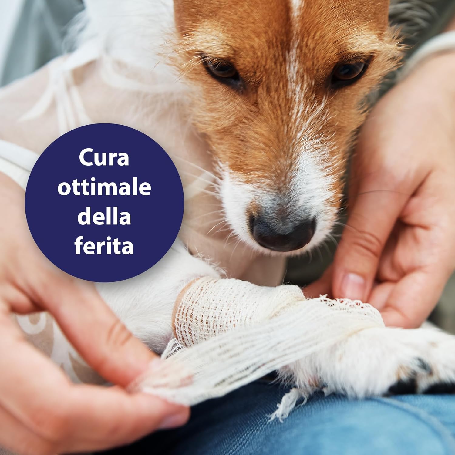 Detalle de Canosept Gel Per Ferite Cane 20ml – Gel antisettico per ferite e pulizia della pelle del cane