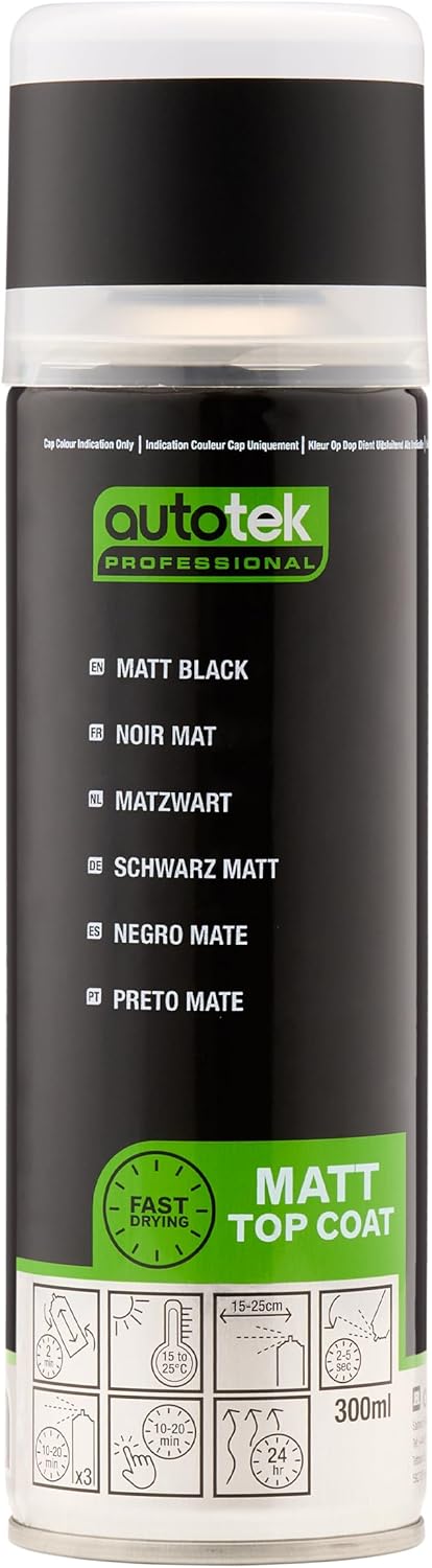 Autotek Professional peinture 300 ml noire mate 🖌